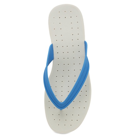 Шлепанцы мужские 43 синий